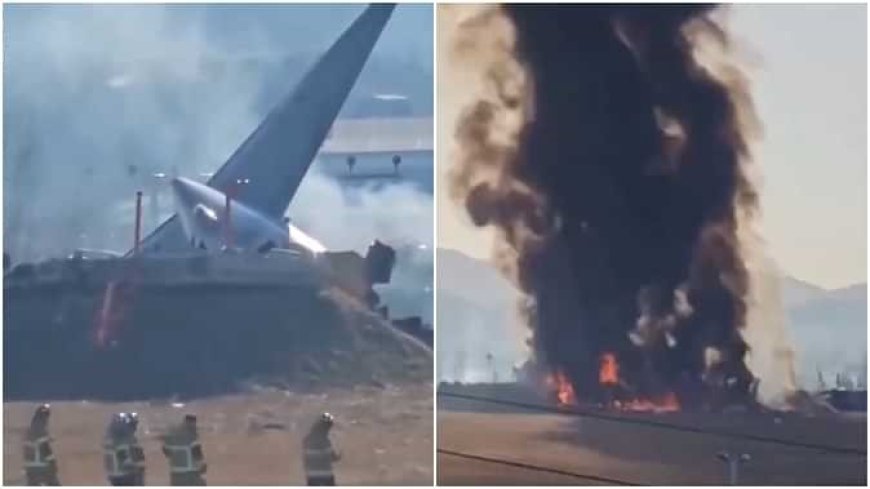 Plane Crash: दक्षिण कोरिया में विमान हादसा